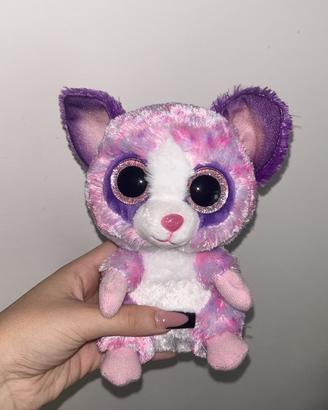 peluche tedy