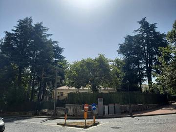 Locale centralissimo