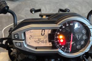 Tiger 800 xcx