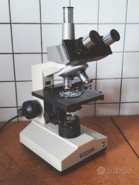 microscopio olympus polarizzatore