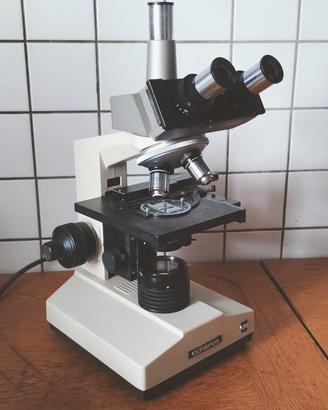 microscopio olympus polarizzatore