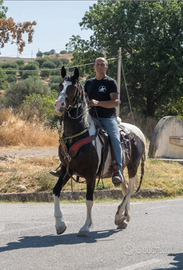 Castrone stupendo pezzato