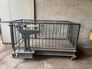 Bilancia per bovini/animali grossa taglie