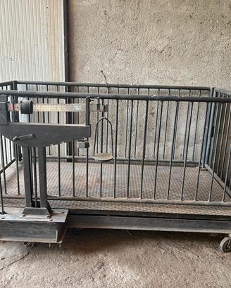 Bilancia per bovini/animali grossa taglie