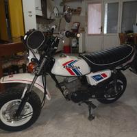 Honda Altro modello