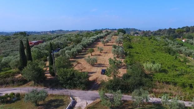 Terreno agricolo fonte nuova (rm)