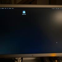 Apple cinema display + adattatore