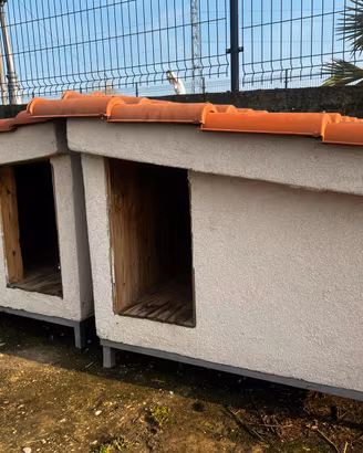 Casetta cuccia per cani