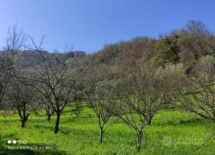 Terreno agricolo - Vista 6
