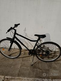 bicicletta riverside