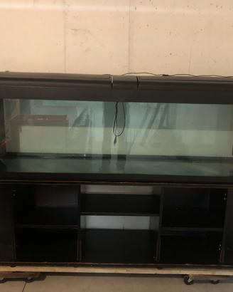 Acquario 600l