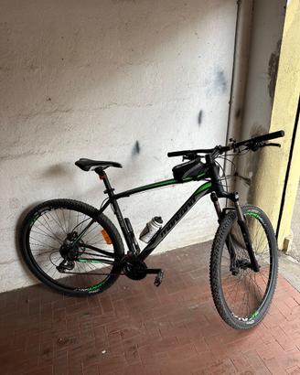 Bici Montain Bike