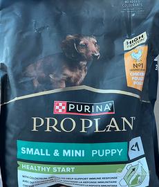 Specifico per bassotti