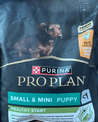 Specifico per bassotti