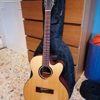 Chitarra 12 corde VGS Bayou B40-12CESN