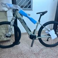 Bici elettrica