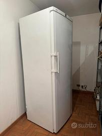 Congelatore liebherr