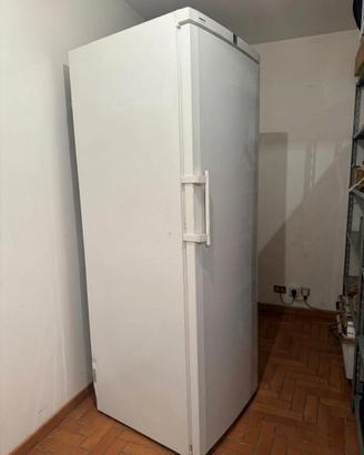 Congelatore liebherr