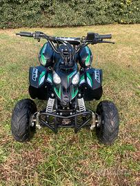 Mini quad 110cc
