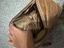 Immagine 6