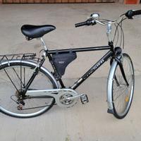 Bicicletta Chesini Verona