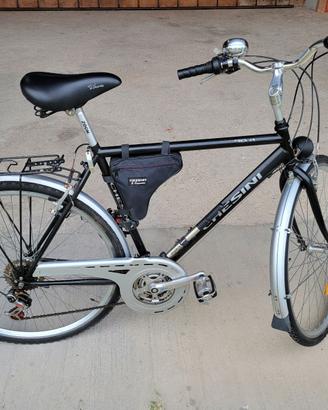 Bicicletta Chesini Verona