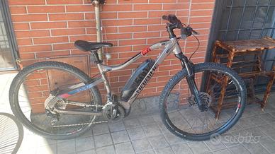 bici elettrica 