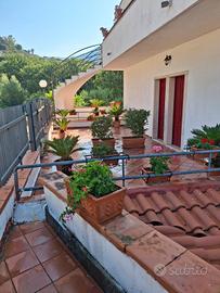 Palinuro estate 2026