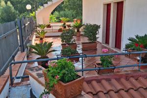 Palinuro estate 2026