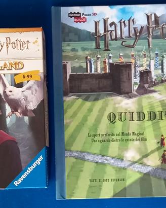 Harry Potter Gioco Sagaland e libro Quidditch