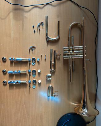 tromba sib Yamaha 8310z Bobby shew