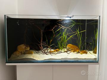 Acquario 200 litri in extrachiaro
