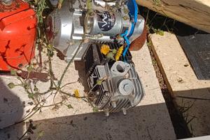 motore 4 tempi con anche retromarcia