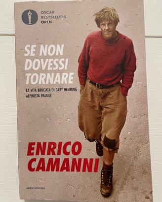 Se non dovessi tornare - Enrico Camanni