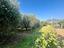 Immagine 17