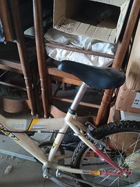 bici 20