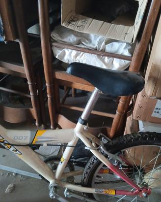 bici 20