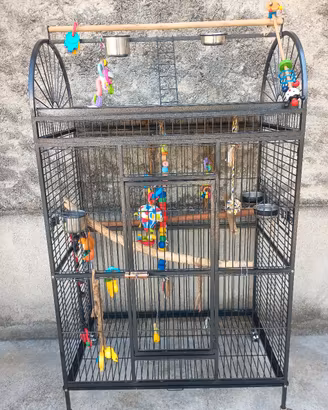 gabbia in metallo per pappagalli