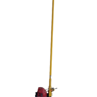 Staggia vibrante motore Honda GX25 con asta da 2m