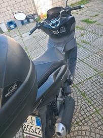 Honda PCX125cc 2024