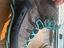 Immagine 2