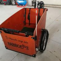 bicicletta cargo bike babboe elettrica