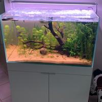 Acquario extrachiaro con mobile e luce led