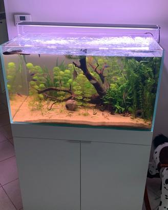 Acquario extrachiaro con mobile e luce led