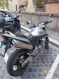 hornet 600