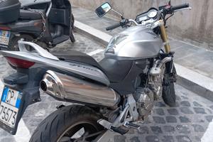 hornet 600