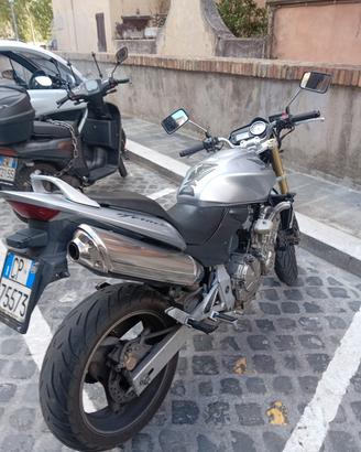 hornet 600