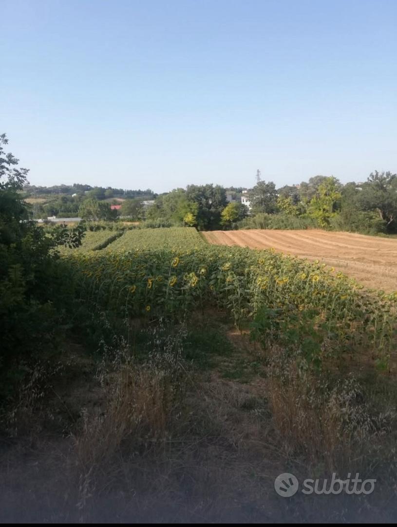 Spoltore - Terreni - Vista 3