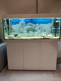 acquario juwel rio 240