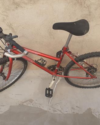 Bicicletta
